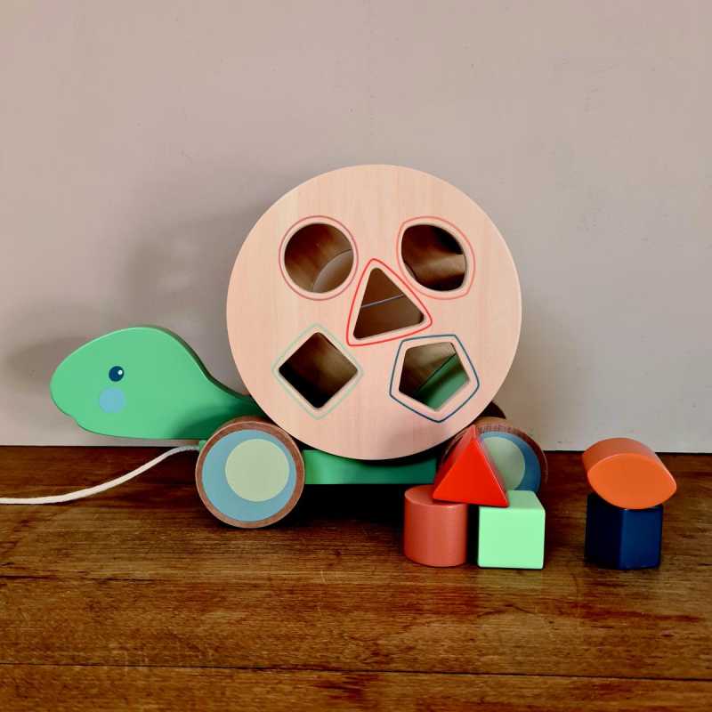 Nachzieh-Schildkröte mit Formenhaus